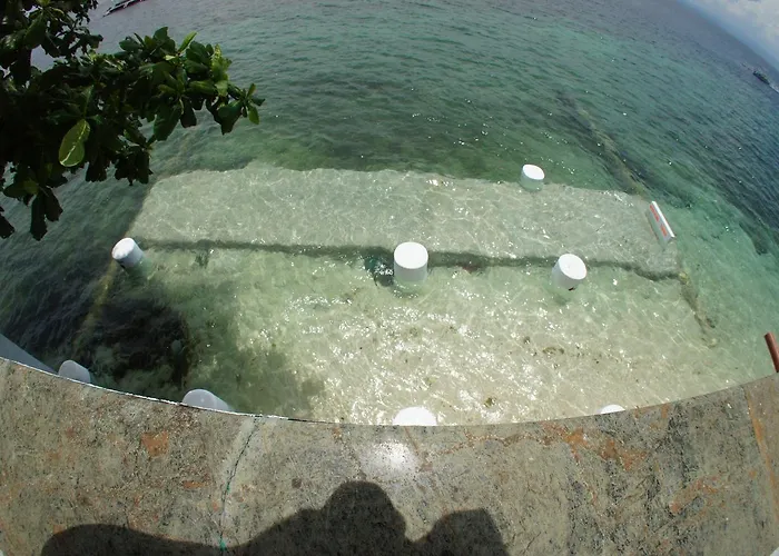 Hostel Shaka Traveler's Place (adults Only) Moalboal