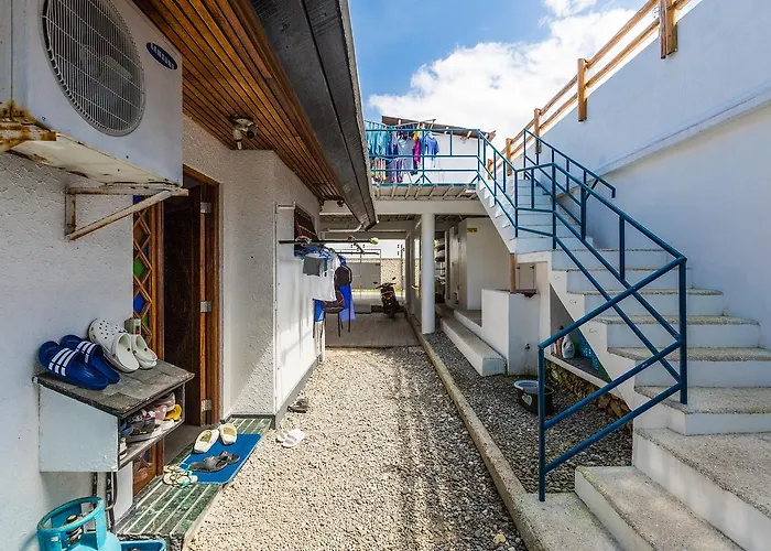 Hostel Shaka Traveler's Place (adults Only) Moalboal
